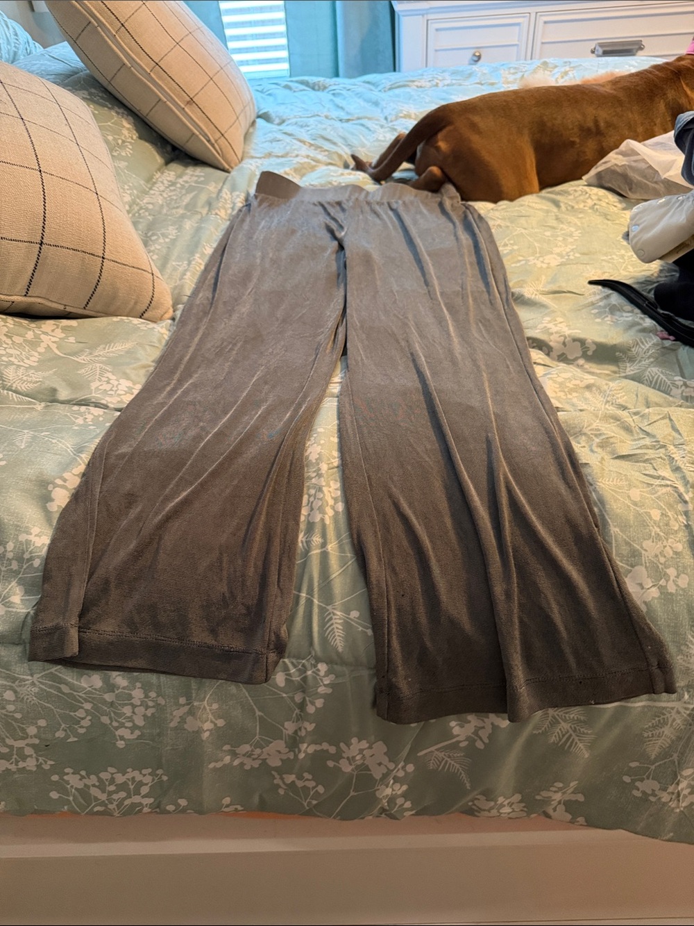 Chico's Travelers Charcoal Gray Pull-On Pants